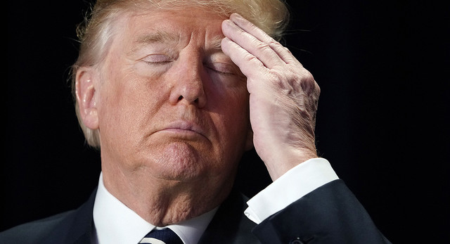 Trump vs The Government?