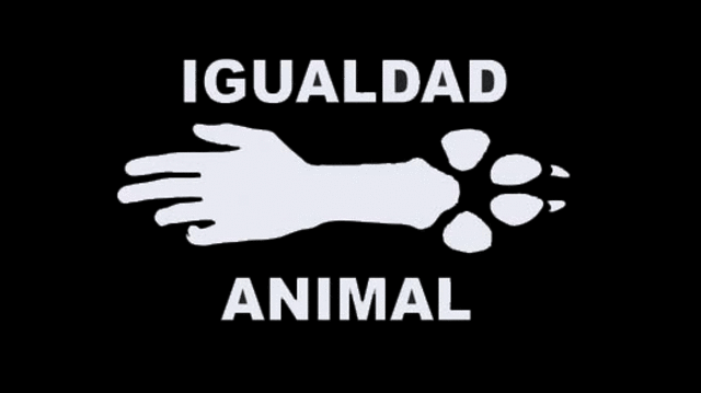 ¿Cómo tratar a los animales?