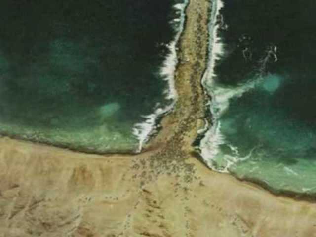 Sherman´s march to the sea begins.