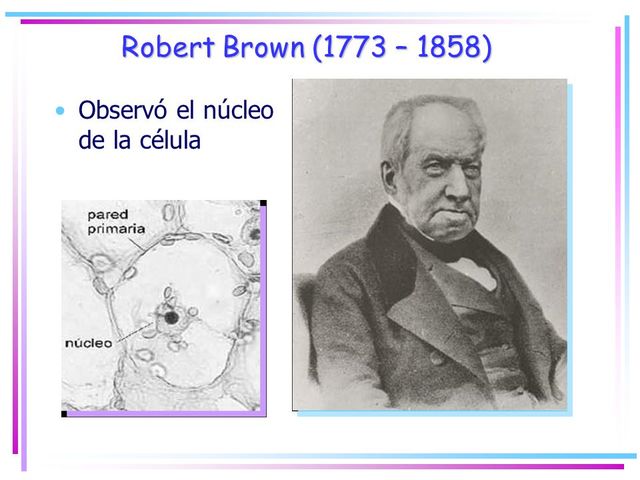 Robert Brown