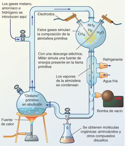 Las experiencias de Urey y Miller (AÑOS)