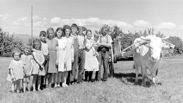 Allocations familiales (programme du fédéral)