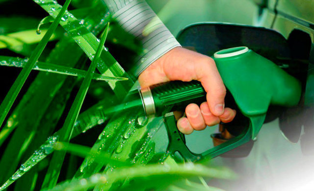 Inicio de proyecto de grado