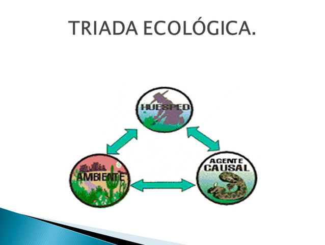 Modelo triada ecológica