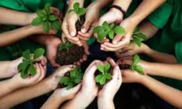 Salud como capacidad