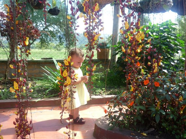 Dejando de usar pañal