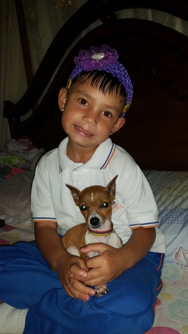 Llegó mi perrito Mono Junior