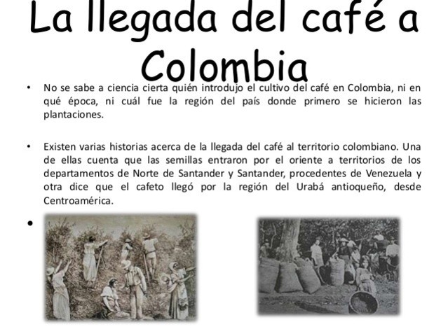 El café, la llegada del cultivo a Colombia: año 1722