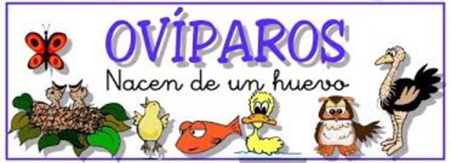 OVIPAROS
