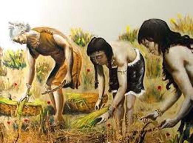 Sociedades primitivas Neolitico