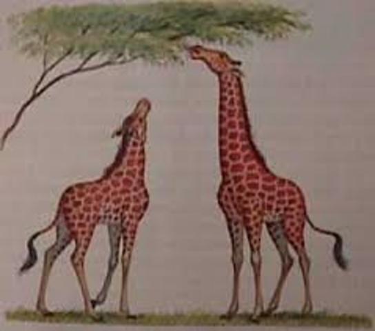 Lamarck Develops Hypothesis of Evolution
