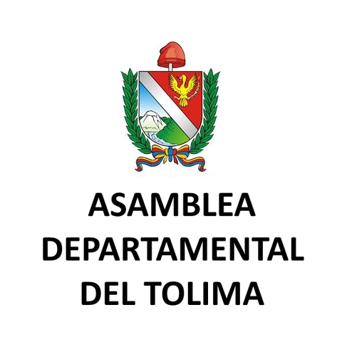 Fue elegido diputado a la asamblea del Tolima.