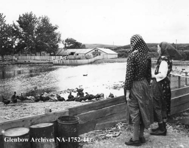 Elimination of the Community of Goods