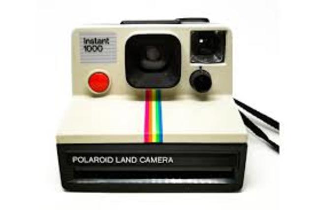 Polaroid