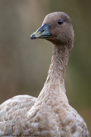 Nuevos procedimientos industriales