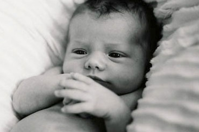 Leonardo neix el 15 d'abril a Vinci. Sent fill natural del notari Ser Piero vaig donar Antonio da Vinci i d'una camperola anomenada Caterina. Aquest mateix any el seu pare es casa amb la jove de disset anys d'edat Albiera di Giovanni Amadori.