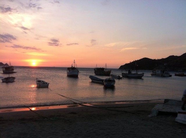 La navegación, empresas de navegación por el río Magdalena, embarcaciones activas: año 1870