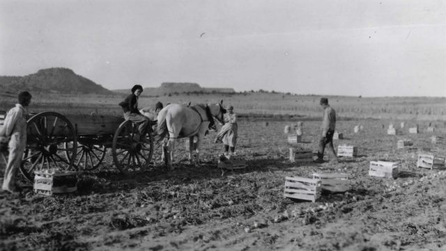 Agricultural Adjustment Act