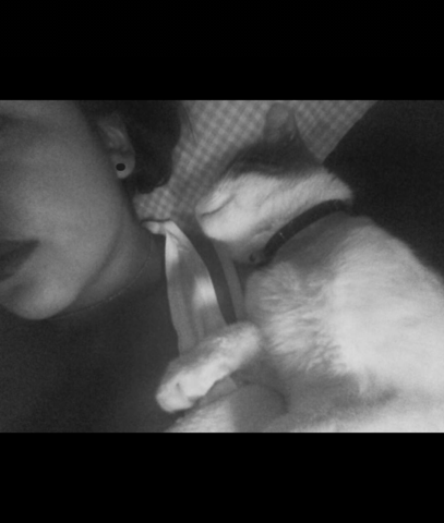 La perdida de mi mejor mascota