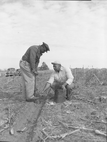 Agricultural Act of 1956