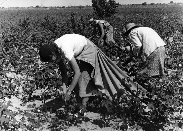 Food and Agriculture Act of 1965