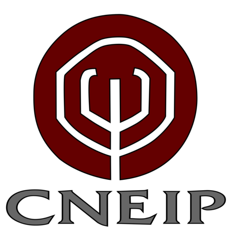 Se constituyó el  CNEIP