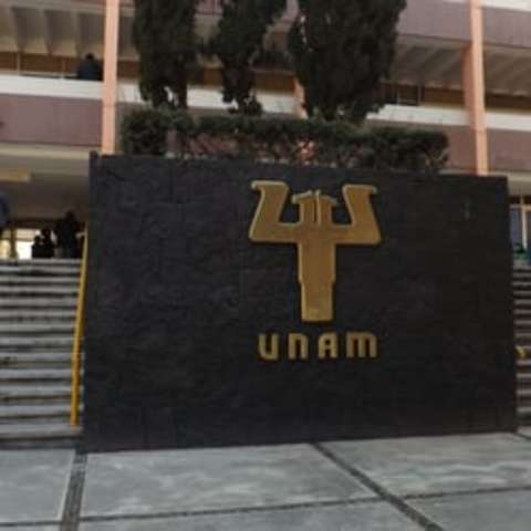 formación de los psicólogos en el nivel de licenciatura