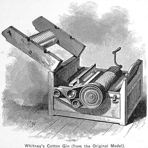 Desmotadora de algodón