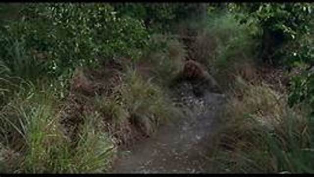 realizations and flee