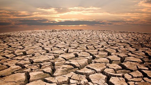 tercera extinción en masa