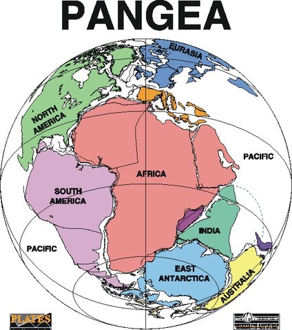 Formación Pangea