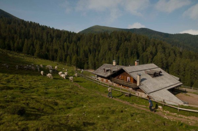 Alba in malga: Malga Sass – Valfloriana