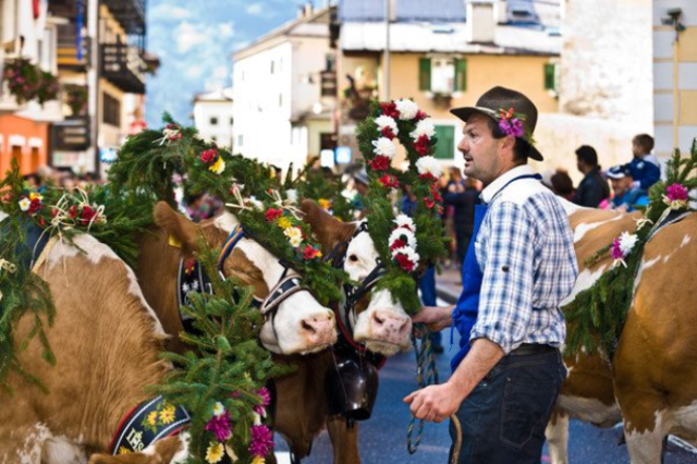 La Desmontegada de le Vache e Festival del Gusto