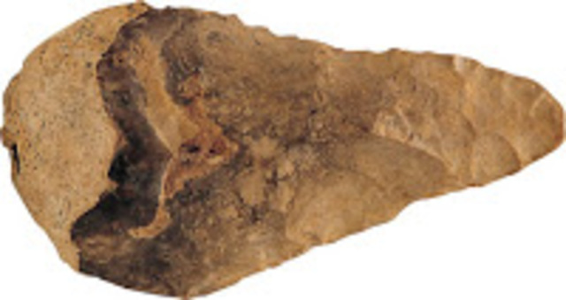 Desarrollos Tecnologicos