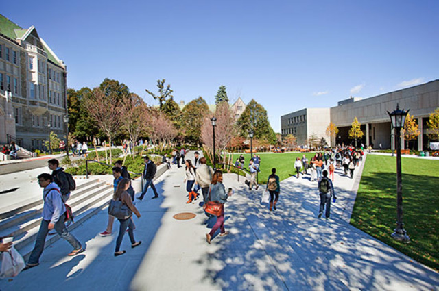 Yo iré a la universidad