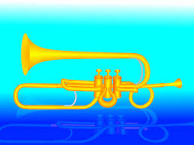 Brass Instruments