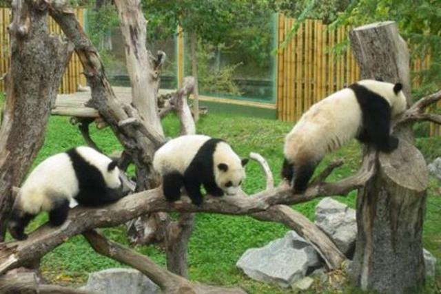 The first YouTube video