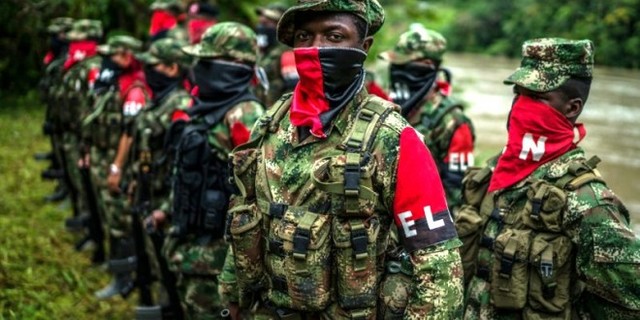 Creación del ELN