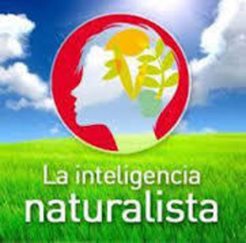Inteligencia Nauralista