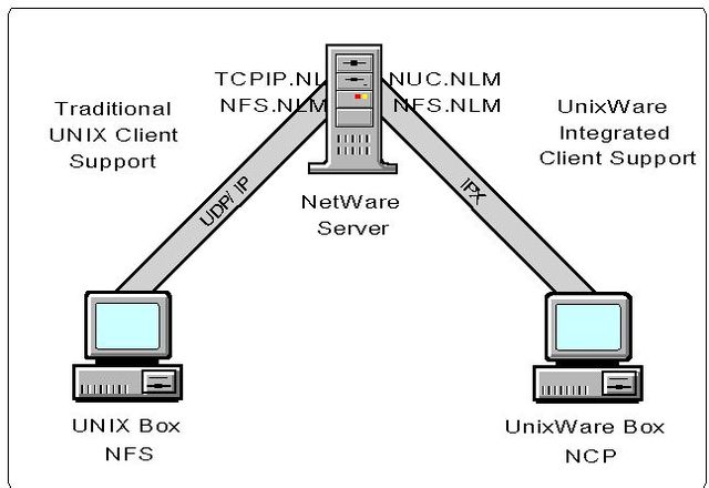 NETWARE CORE PROTOCOLO