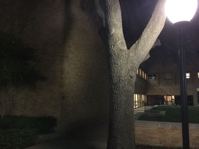 Treaty of Versailles