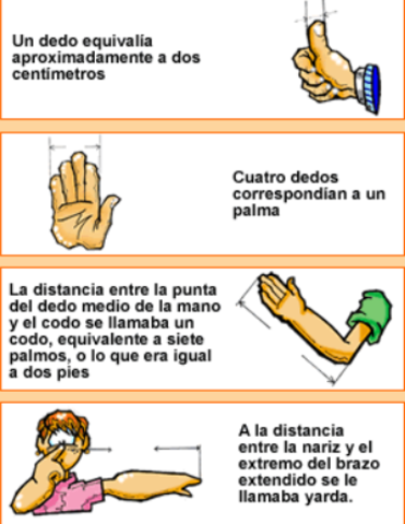 ANTEPASADOS PRIMITIVOS