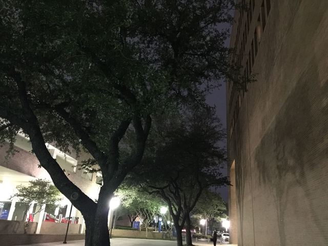 Atomic bomb dropped on Hiroshima and Nagasaki