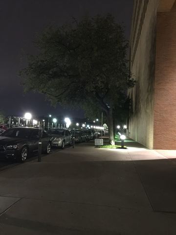 John F. Kennedy becomes President