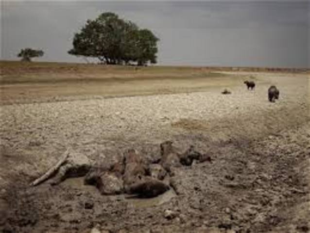 Influencia del Hombre en el Clima.