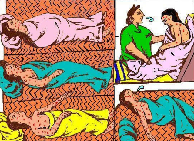 Enfermedades durante la conquista