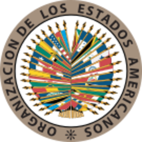fundacion OEA