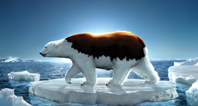 Deshilo del Ártico.