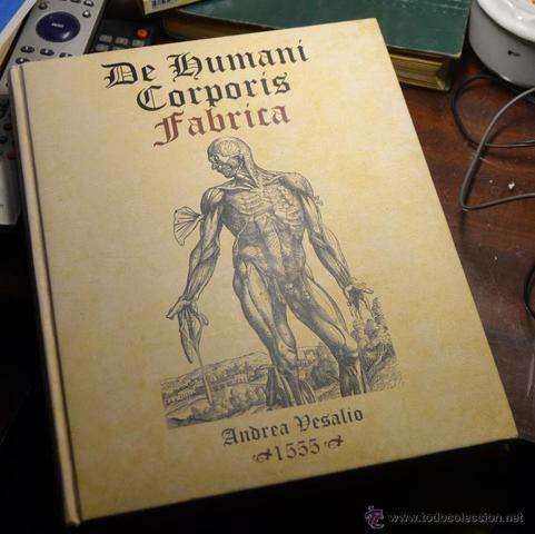Año en el que aparece el monumental libro de Andrés Vasalio titulado De humani Corporis Fabrica.