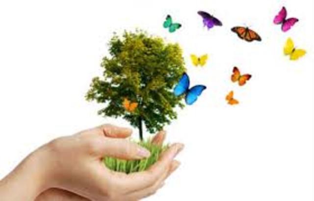 Protección del medio ambiente